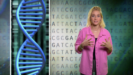 Het Klokhuis | DNA veranderen